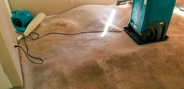 Carpet Water Extraction